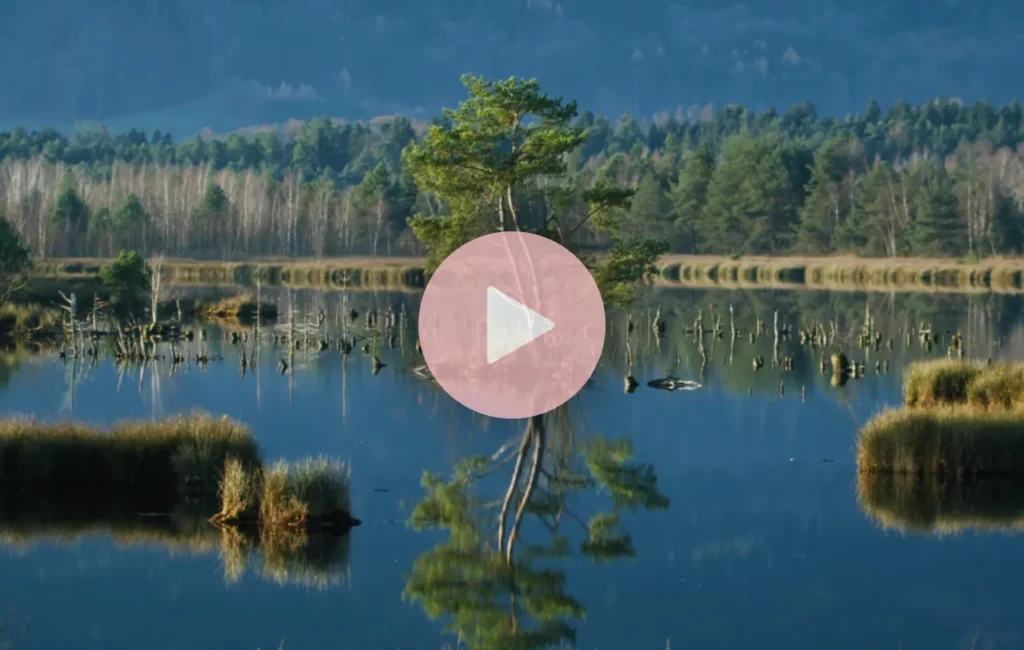 Videoclip – Faszination Moor